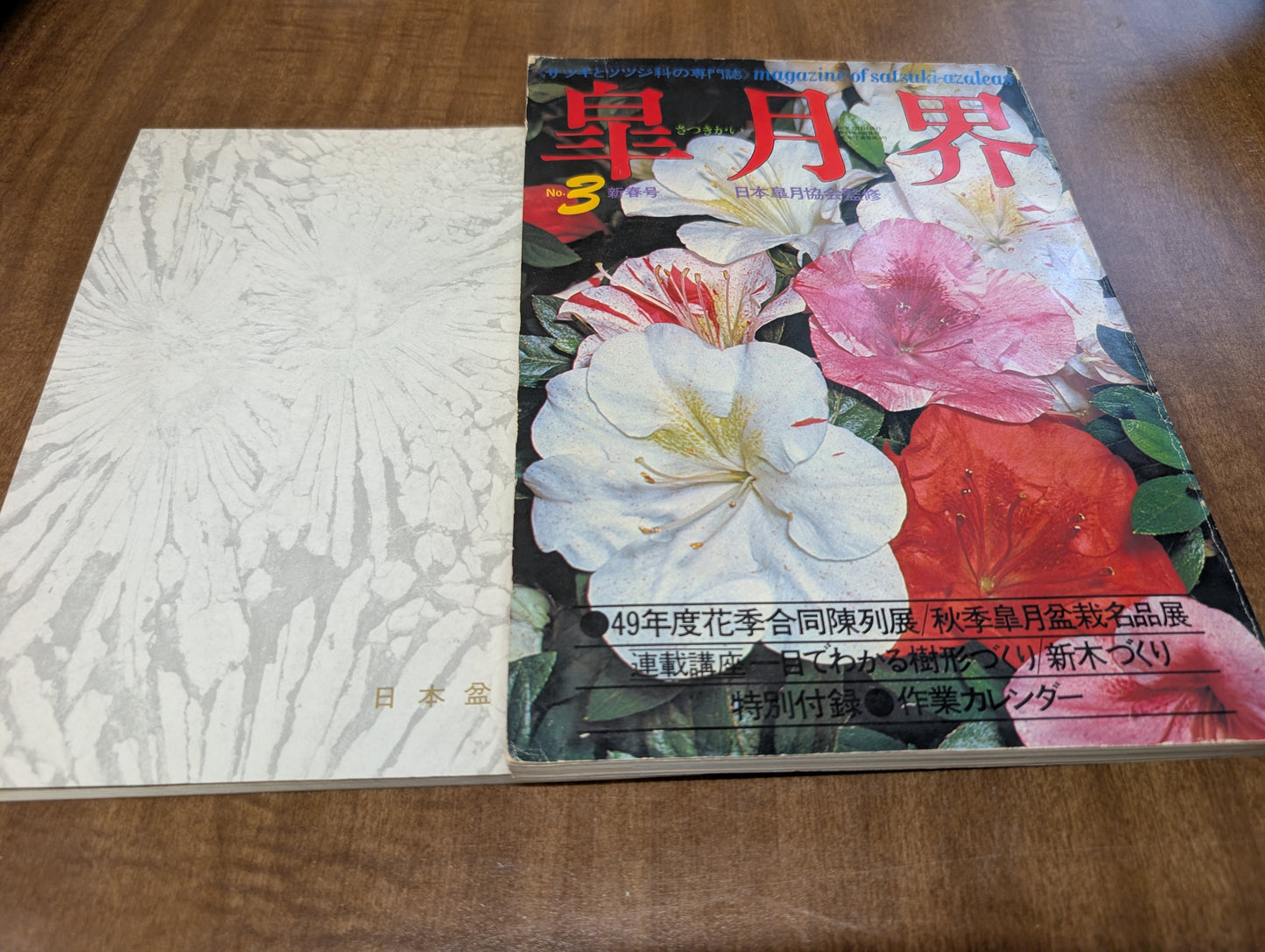 Vintage Japanese bonsai book and magazine 1964 1972, Tokyo Olympic edition