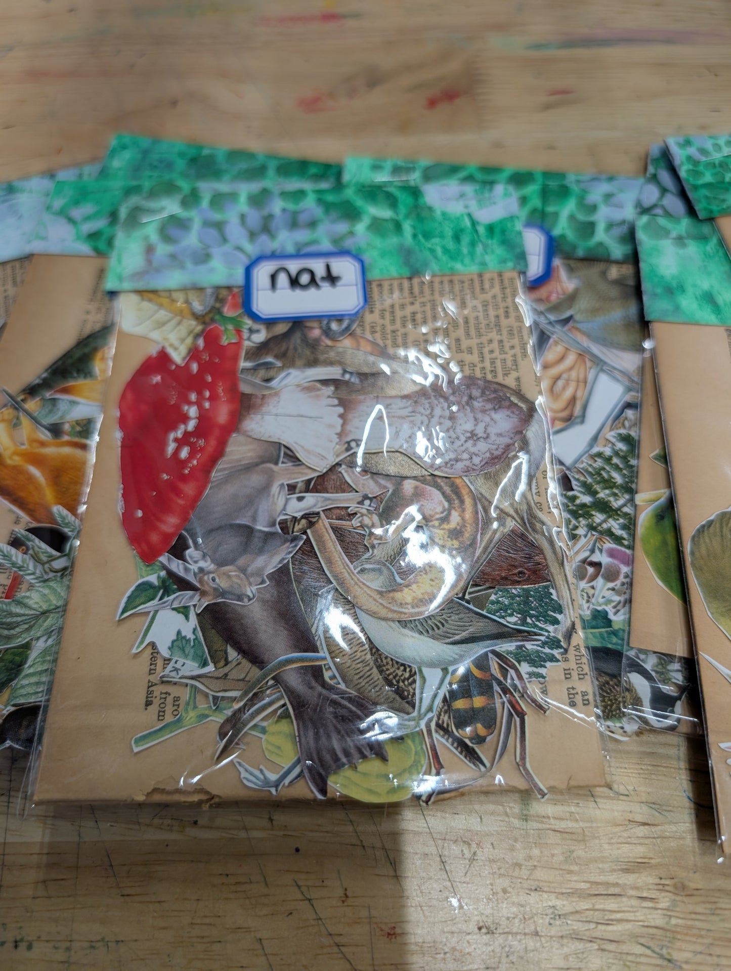 Fussy cuts galore! Nature Images for Junk Journals, Collage, Mixed Media, Paper Crafts FREE SHIPPING